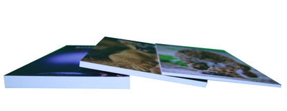 PVC Sintra Rigid Sign – Custom Size & Print