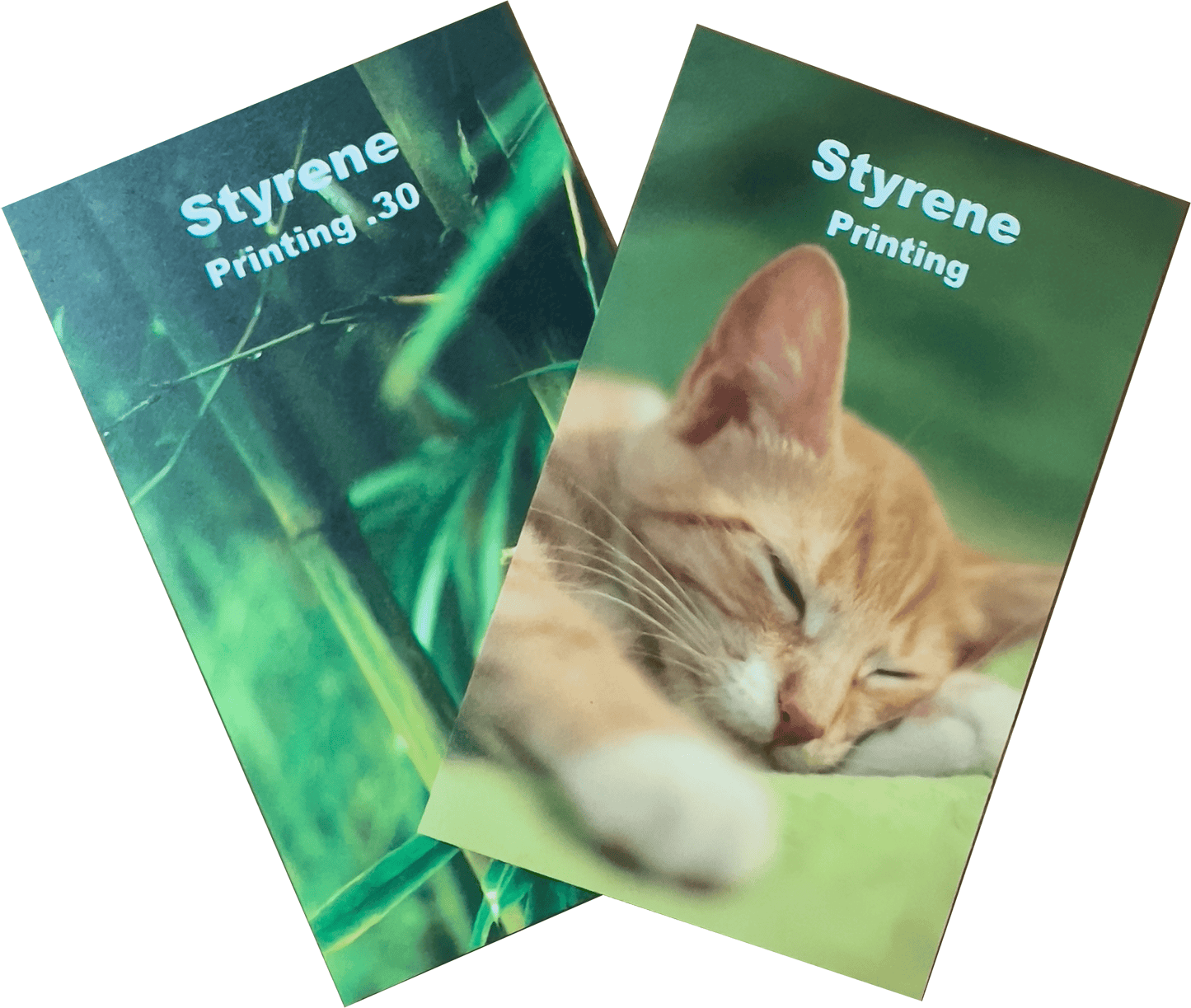 PVC Sintra Rigid Sign – Custom Size & Print