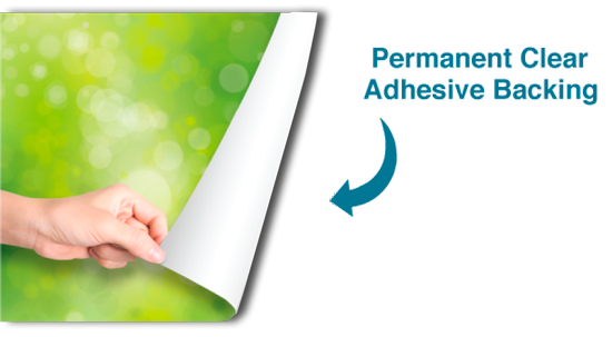 Adhesive Vinyl Decorative Film – Custom Wall & Window Graphics