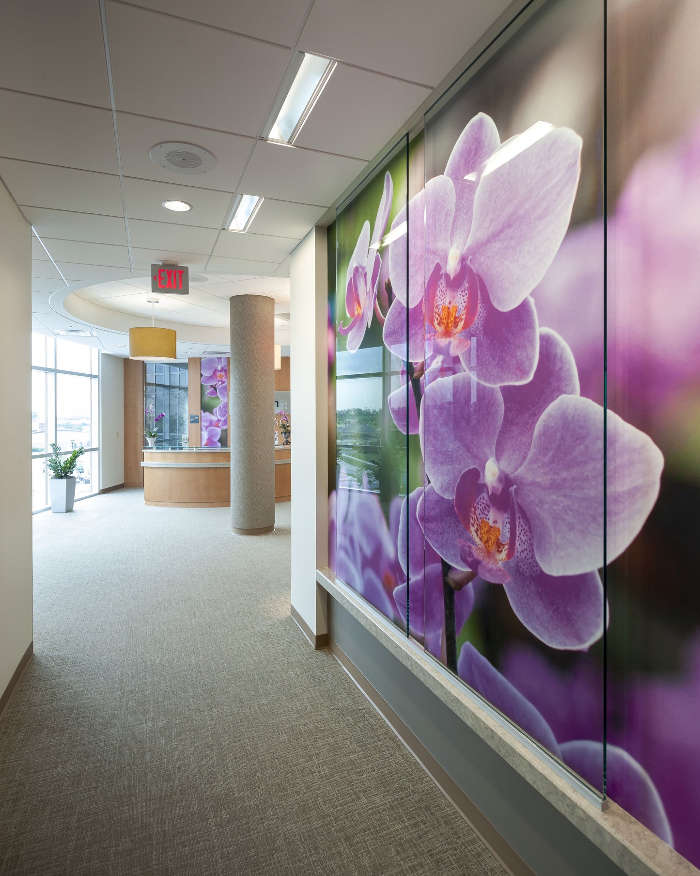 Frosted Privacy Window Vinyl